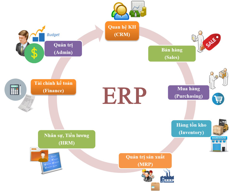 ERP giúp doanh nghiệp thực hiện đầy đủ các chức năng trong hoạt động kinh doanh