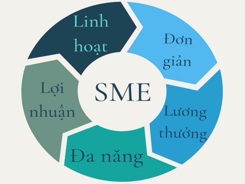 Mô hình SME có nhiều ưu điểm khác nhau